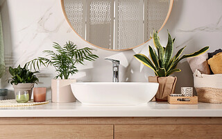 7 plantes qui absorbent l’humidité dans la maison