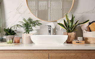 7 plantes qui absorbent l’humidité dans la maison
