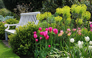Types de jardins : 4 styles à découvrir
