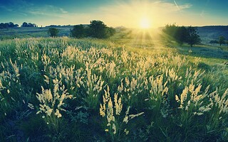 10 lieux-nature insolites à découvrir dans l’Hexagone