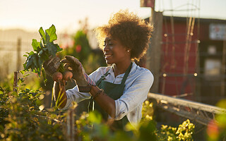 7 comportements et gestes éco-responsables simples à adopter dans le jardin