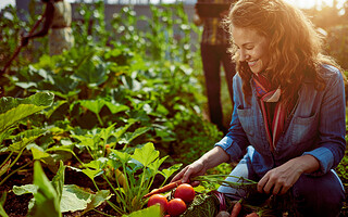 Comment réaliser un potager ? 