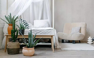 5 conseils pour aménager une chambre d’amis