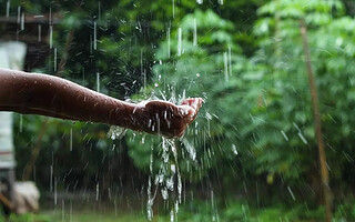 Comment récupérer efficacement l'eau de pluie ?