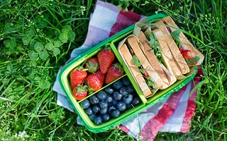 Comment bien manger sur la route des vacances ?