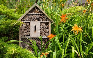 4 idées pour accueillir et protéger les animaux