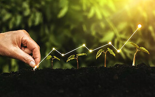 Comment investir votre argent de façon écolo ?