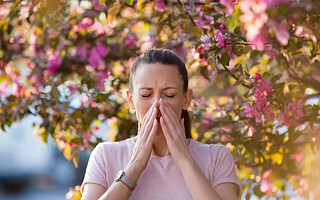  5 astuces pour soulager son allergie au pollen