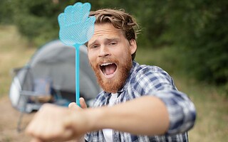 5 solutions pour lutter efficacement contre les insectes