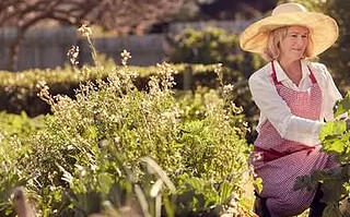 5 bienfaits santé du jardinage