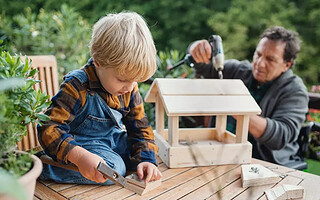 Construire un gîte pour chauves-souris : le mode d’emploi