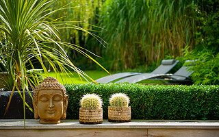 Comment réaliser un jardin zen ?