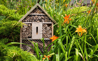 Installer un hôtel à insectes dans son jardin : un geste utile avant l’hiver