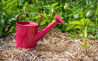 Préparer le jardin pour le printemps 