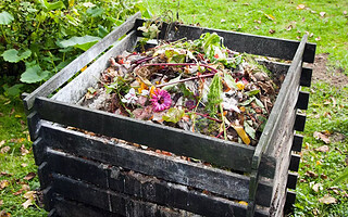 Faire son compost : un geste simple pour une planète plus verte !