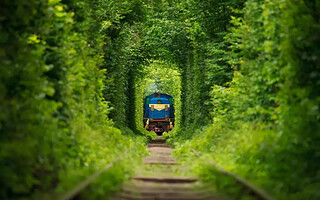 5 trains insolites à découvrir à travers la France